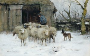 Moutons un matin d